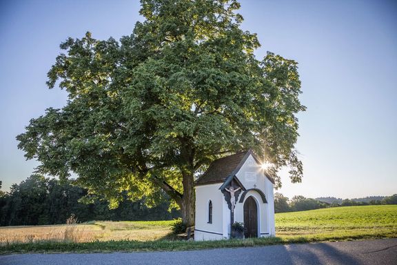 Impressionen vom Wagnerhof